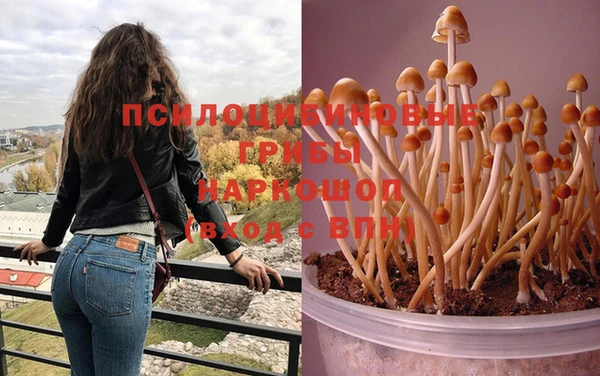 прущая мука Волоколамск