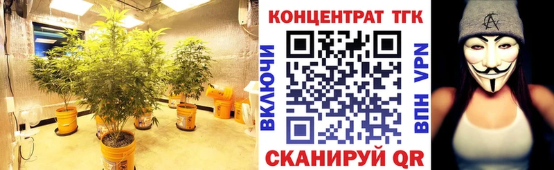 Купить где  Россошь  ТГК жижа 